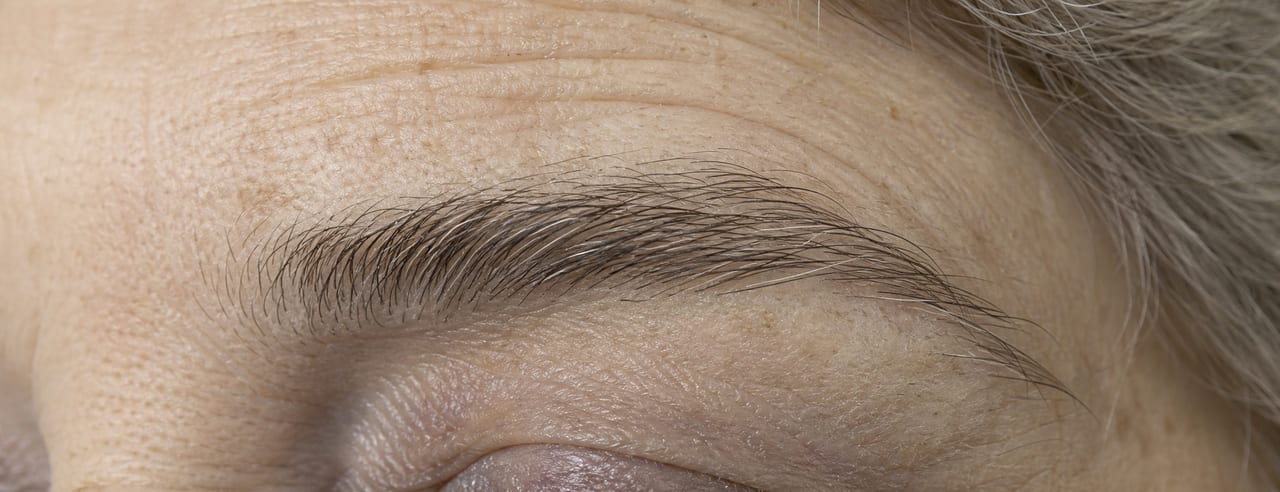 Bande horizontale du haut d'un visage : un sourcil entier lisible poil à poil, rides frontales au-dessus, paupière close en bas de cadre.