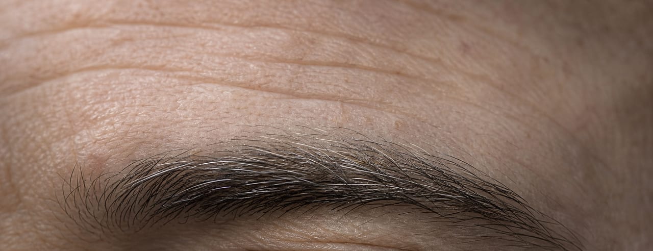 Sourcil fourni et front d'un homme d'âge mûr, poils détachés un à un et rides frontales relevées par une lumière rasante basse.