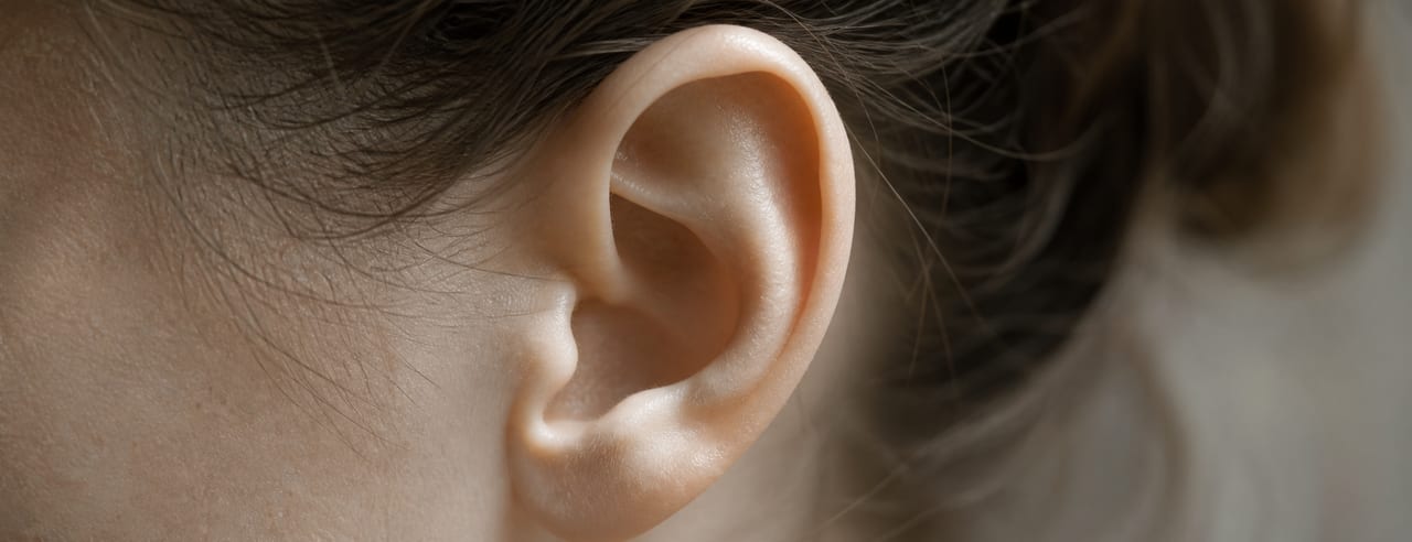 Pavillon d'oreille de trois quarts arrière, cheveux dégagés : relief de l'hélix net et sillon rétro-auriculaire en ombre douce.