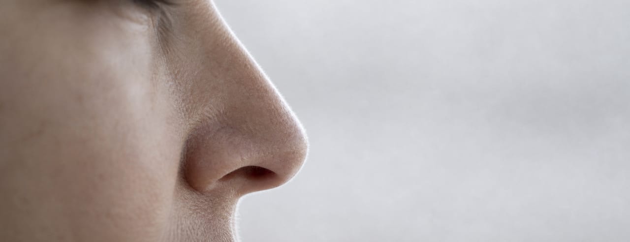 Profil rapproché d'un nez : arête, pointe et narine détourées par un contre-jour latéral, philtrum coupé et départ de joue en flou.